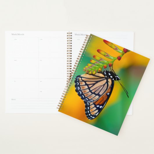 Een Viceroy Butterfly op Flowers Planner (Display)