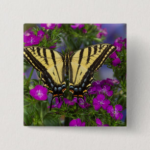 Een Viceroy-vlinder op donkerroze bloemen Vierkante Button 5,1 Cm