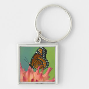 Een Viceroy-vlinder op een Zinnia Sleutelhanger