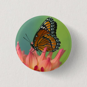 Een Viceroyvlinder op een Zinnia Ronde Button 3,2 Cm