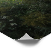 Een vijver poster (Hoek)