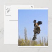 Een vliegende hond. briefkaart (Voorkant / Achterkant)