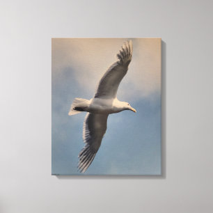 Een vliegende meeuw op Stretched Canvas Print