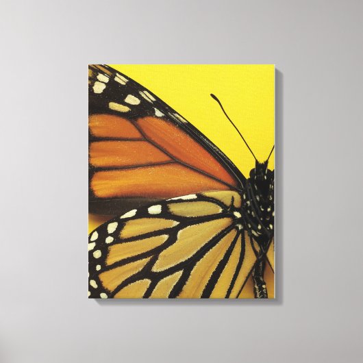 Een vlinder canvas afdruk (Voorkant)