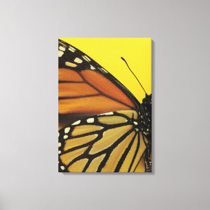Een vlinder canvas afdruk
