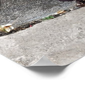 Een vlinder landde op viool poster (Hoek)