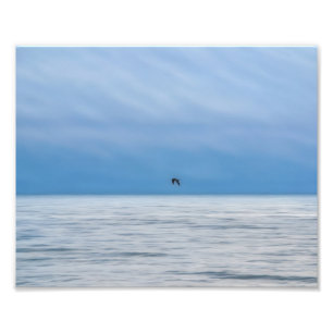 Eén vogel alleen over de nevelige zee Fotografisch Foto Afdruk