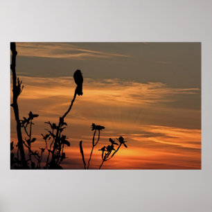 een vogel in de boom bij zonsondergang poster