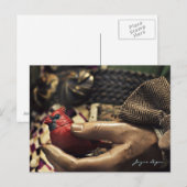 Een vogel in de hand, Briefkaart (digitale kleuren (Voorkant / Achterkant)