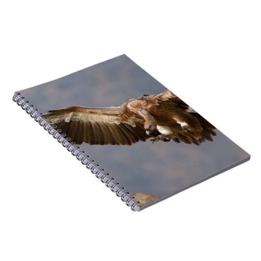 Een vogel van Prey Notitieboek (Rechterzijde)