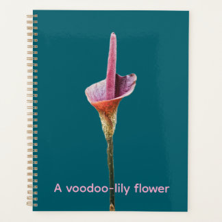 Een voodoo-lelie bloem planner