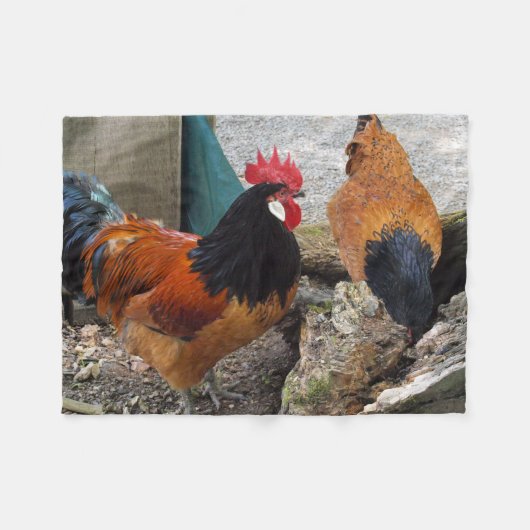 Een Vorwerks Chicken pair, Rooster en Hen Eating Fleece Deken (Voorkant (Horizontaal))