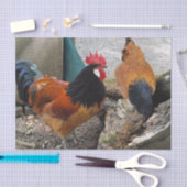 Een Vorwerks Chicken pair, Rooster en Hen Eating Tissuepapier (Craft)
