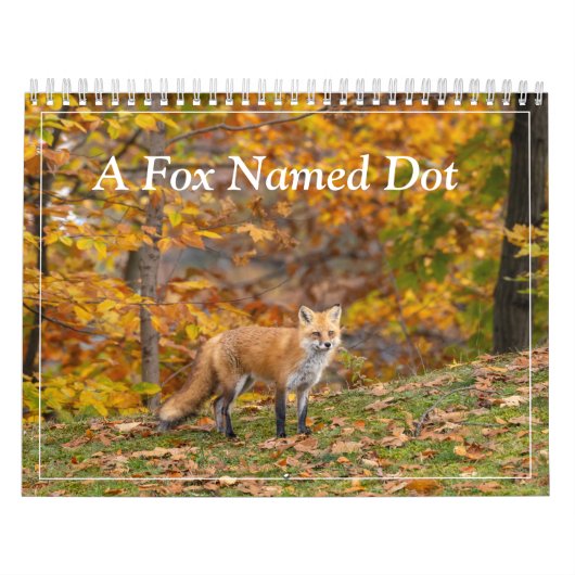 Een vos genaamd Dot. Kalender (Hoes)