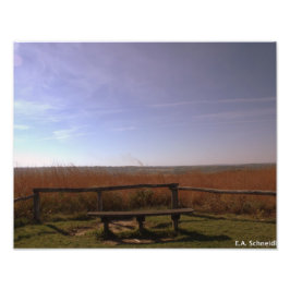 Een vredesplaats door E.A. Schneider Foto Afdruk