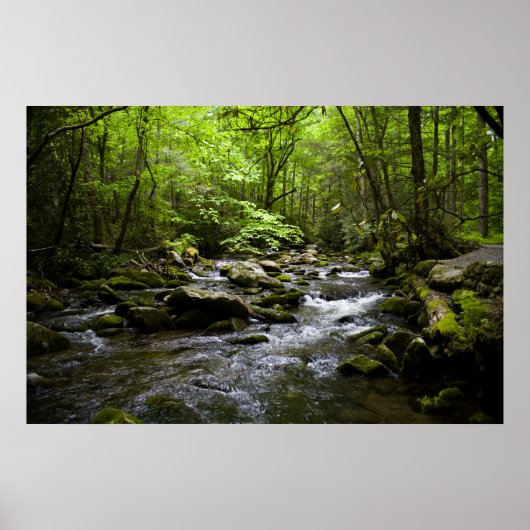 Een vreedzame rokerige bergstroom poster (Voorkant)