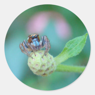 Een vriend voor Jumping Jack! Ronde Sticker