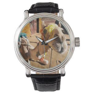 Een vriendelijke kameel wacht op zijn volgende ber horloge