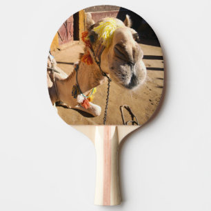 Een vriendelijke kameel wacht op zijn volgende ber tafeltennisbatje