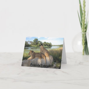 Een vriendschapskaart kaart