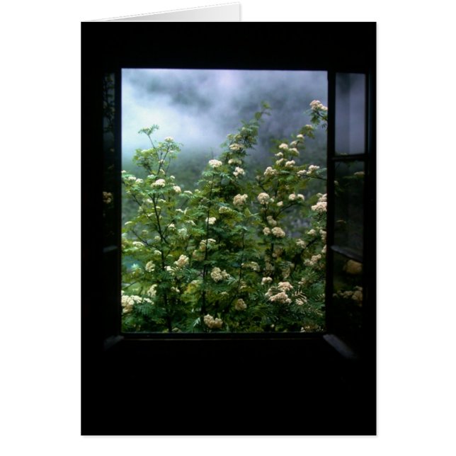 EEN VROUW IN HOOP (Voorkant)