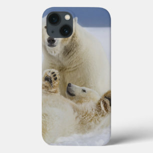 Een vrouwelijke ijsbeer en haar welp spelen in de iPhone 13 hoesje