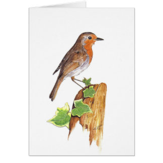 Een waakzame Robin, mooie kunst, waterverf