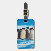 Een Waddle van Pinguïns Bagagelabel (Voorkant verticaal)