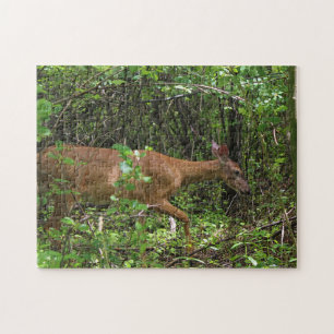 Een wandeling door het Bos Legpuzzel