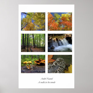 Een wandeling in het bos, poster