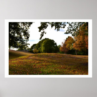Een wandeling in het park poster