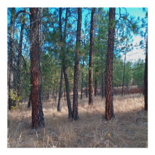 Een wandeling tussen de bomen Glossy Poster Perfect Poster