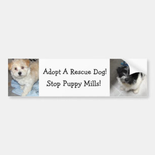 Een wapenstilstand aannemen - Havanse Puppies Bumpersticker
