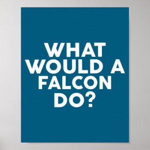 Een Wat Zou Falcon Valken Poster