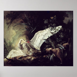 Een waterspaniel poster