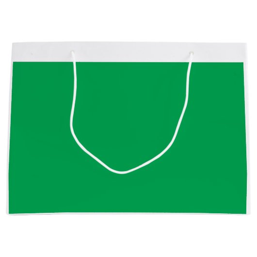 Een weelderige groene varen met delicate, ingewikk groot cadeauzakje (Voorkant)