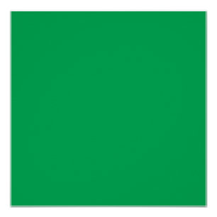 Een weelderige groene varen met delicate, ingewikk perfect poster