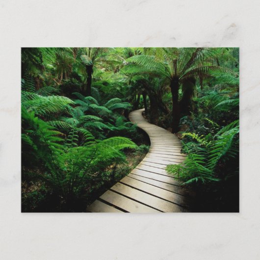 Een weg in het midden van het wilde bos briefkaart (Voorkant)