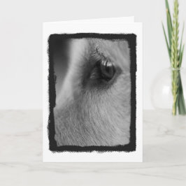 Een wegenkaart met gedachten kaart