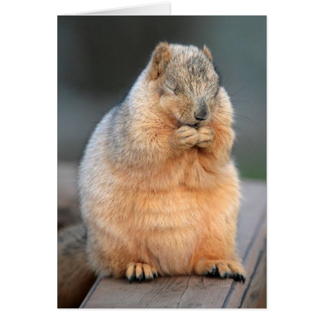 Een wens maken (Voorkant)