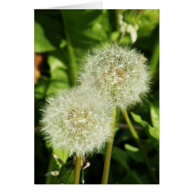 Een wens maken (Voorkant)