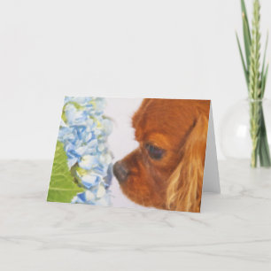 Een Wenskaart met een mooi moment Kaart