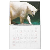 EEN WERELD VAN DIERENkalender Kalender (Feb 2027)