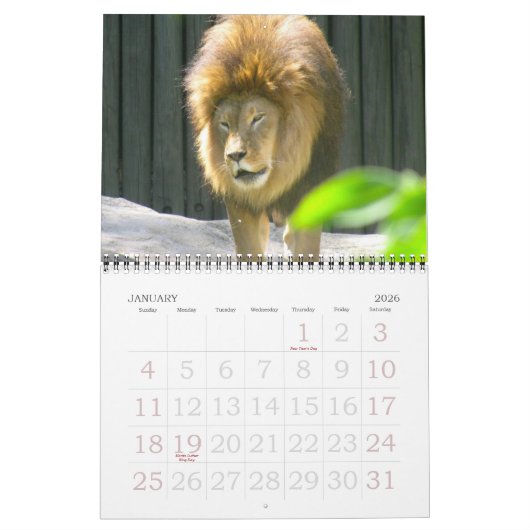 EEN WERELD VAN DIERENkalender Kalender (Jan 2026)