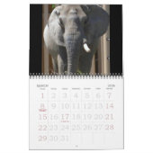 EEN WERELD VAN DIERENkalender Kalender (Mar 2026)