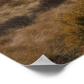 Een wikkelpad op de voet onder de berg poster (Hoek)