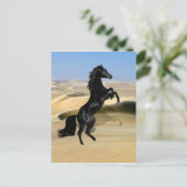 Een wilde zwarte hengst briefkaart (Staand voorkant)