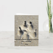 Een windhond die geniet van het surf. kaart (Achterkant)