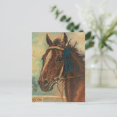 Een winnend paard | Ludwig Koch Briefkaart (Staand voorkant)