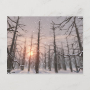 Een Winter Night's Dream Briefkaart